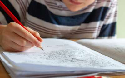 Building a Home Academy That Complements a Christian Hybrid School